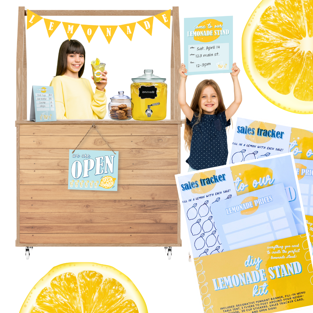 D.I.Y. Lemonade Stand Kit