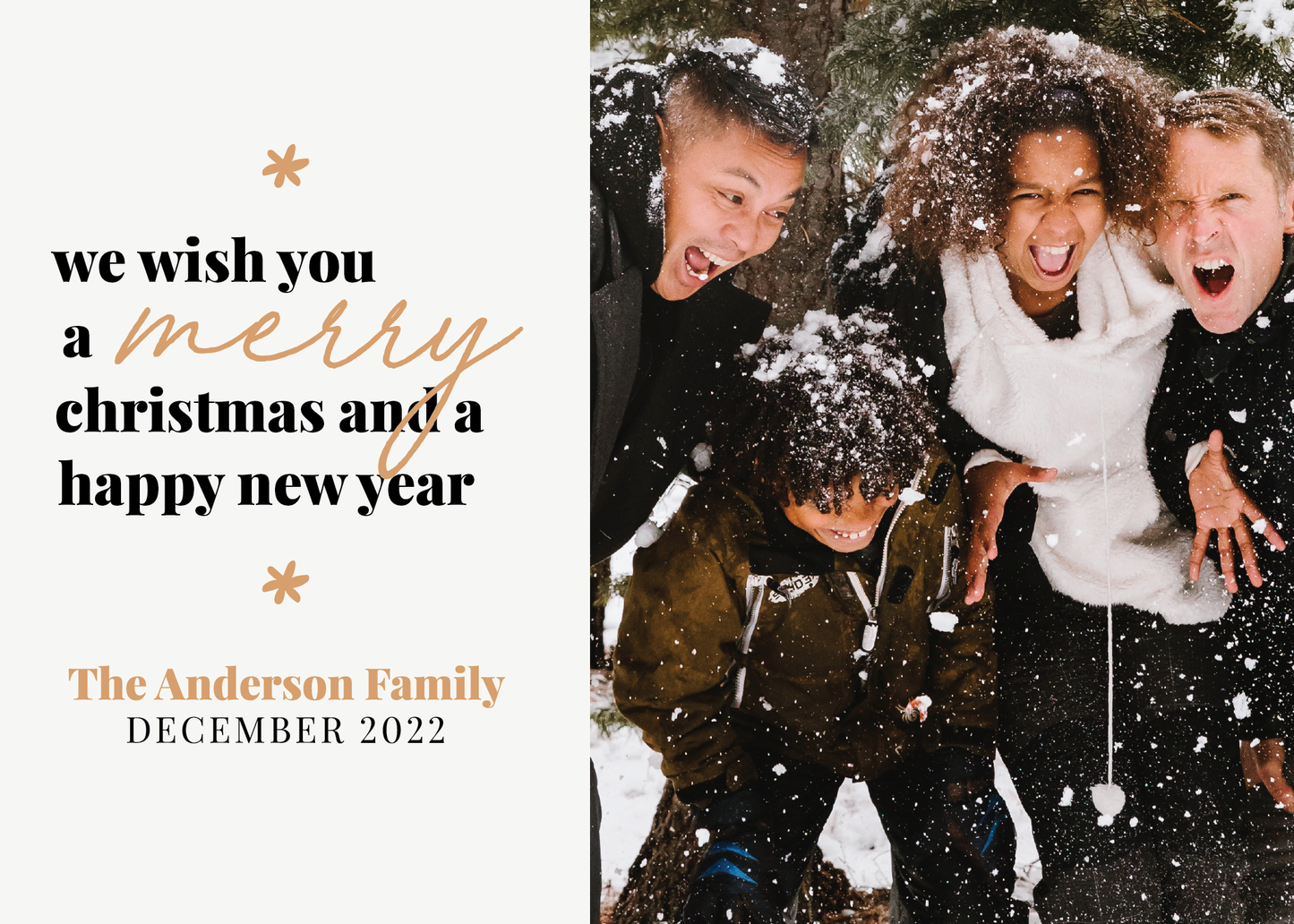 We Wish You a Merry Christmas