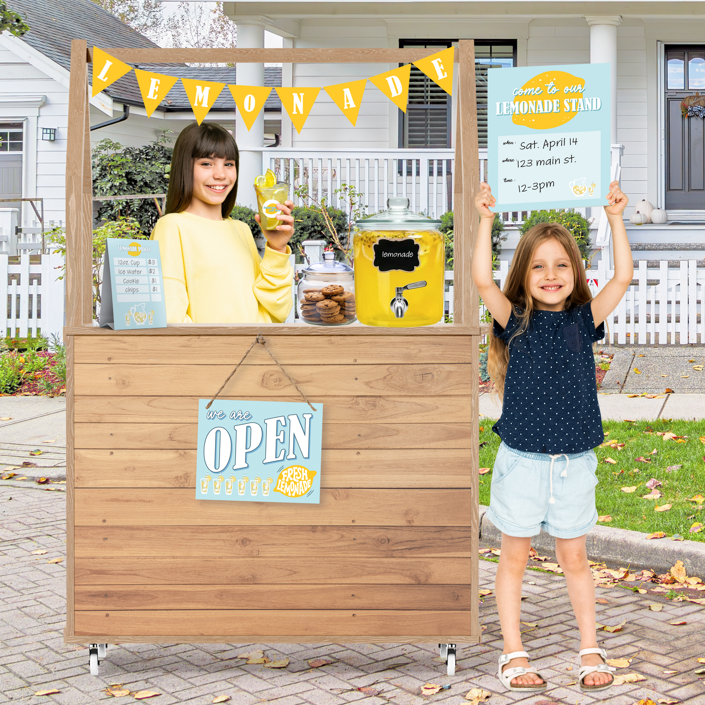 D.I.Y. Lemonade Stand Kit