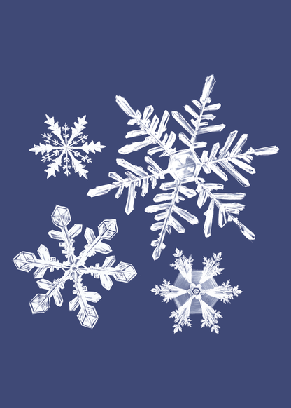 Warm Winter Wishes