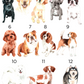 Hydration Station Wedding Pet Bar Sign 8" x 10"