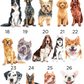 Signature Cocktails Wedding Pet Bar Sign 8.5" x 14"