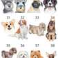 Hydration Station Wedding Pet Bar Sign 8" x 10"