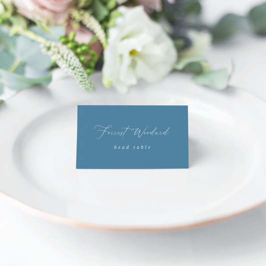 Dusty Blue Calligraphy Place Cards