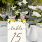 Chinoiserie Citrus Tented Table Numbers