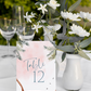 Palm Breeze Tented Table Numbers